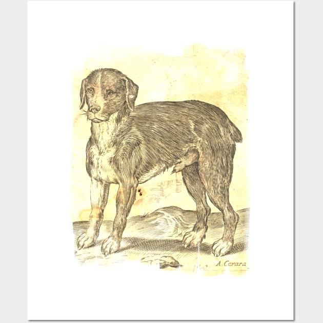 Italian Dog Wall Art by quingemscreations